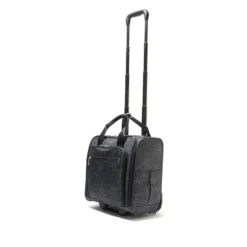 Baggallini 2 Wheel Underseater Carry On Luggage